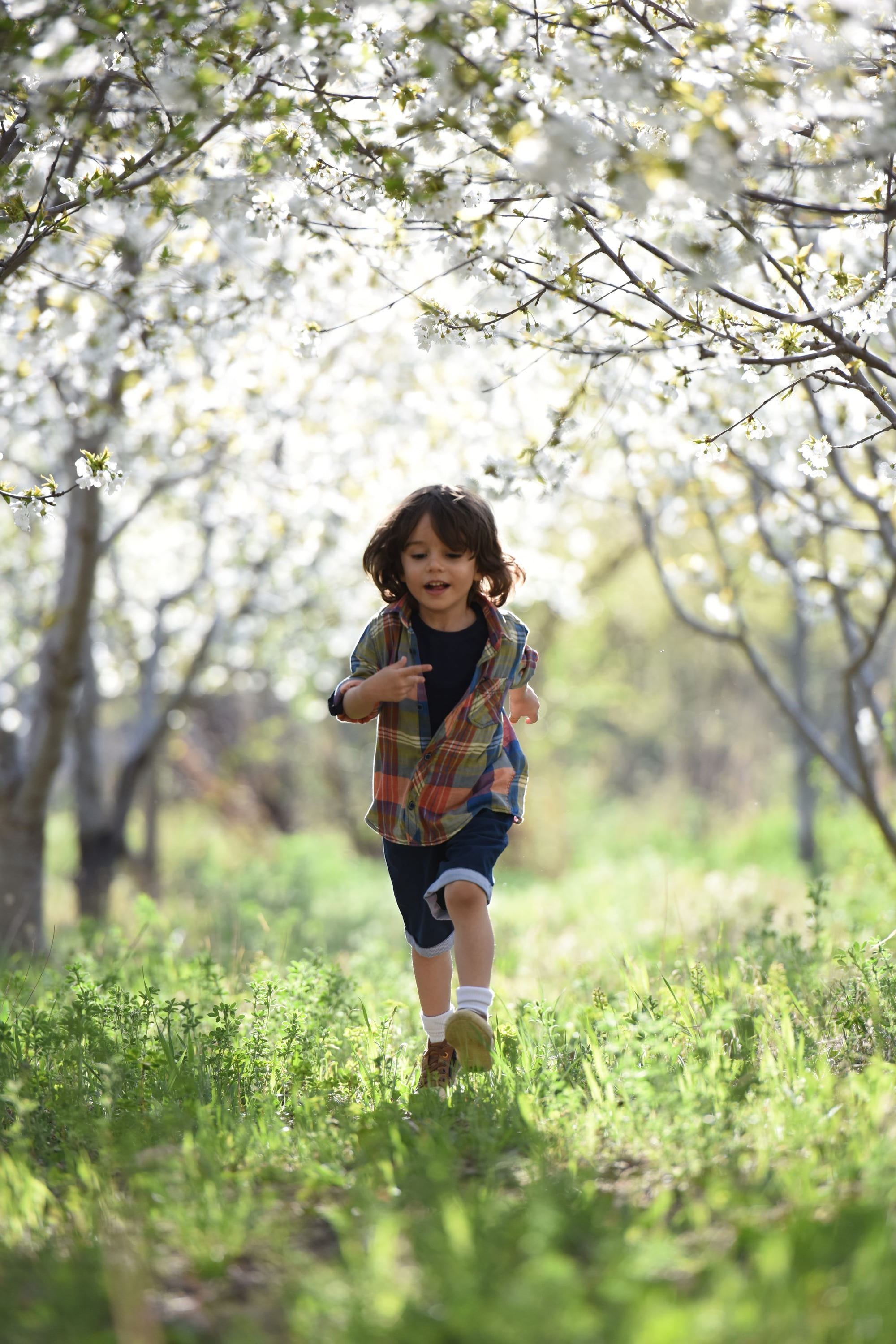 A child running through long grass under blossom