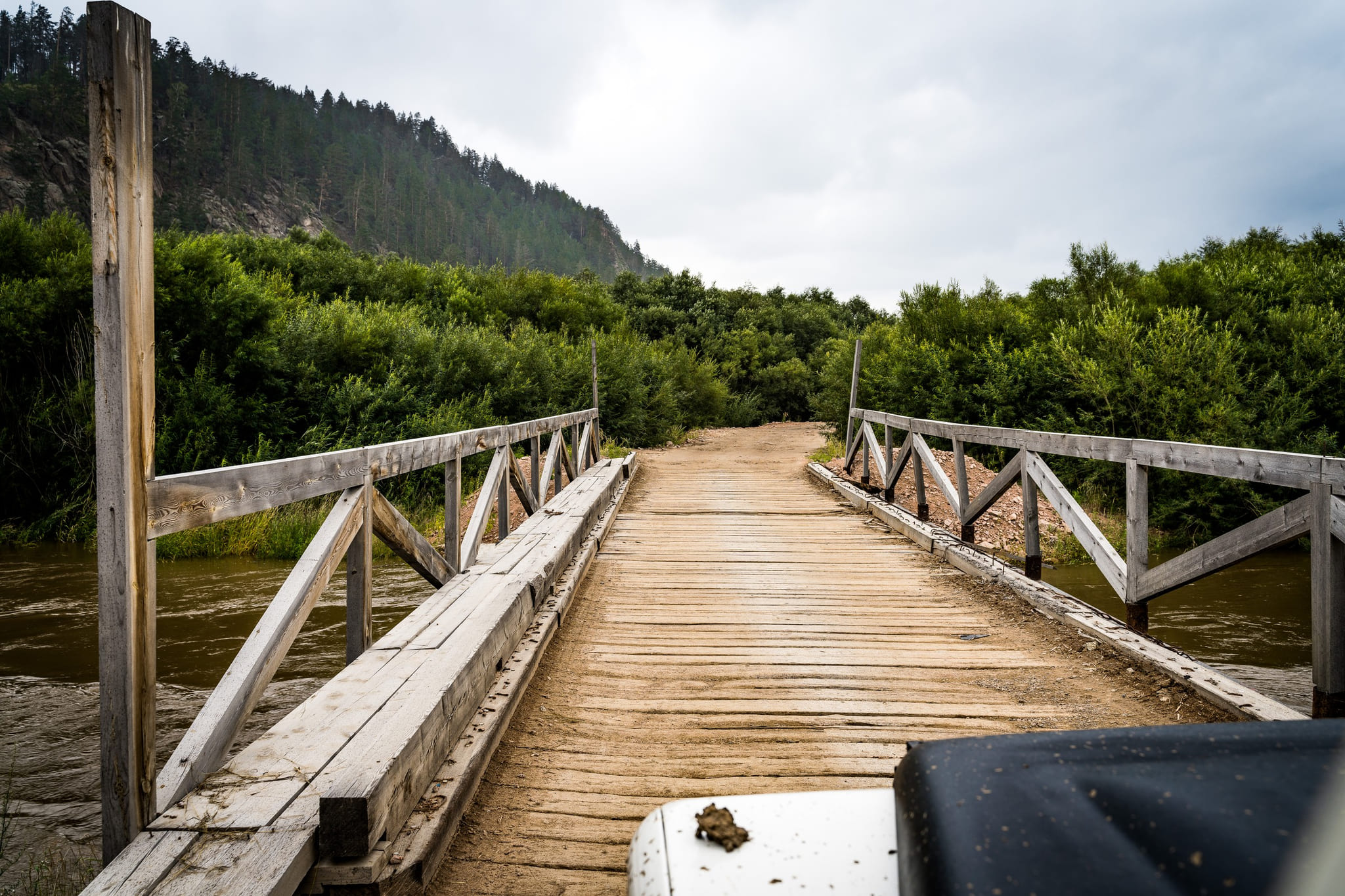 A wooden footbridge leading into the trees